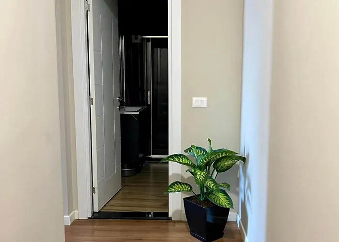 Center Cozy