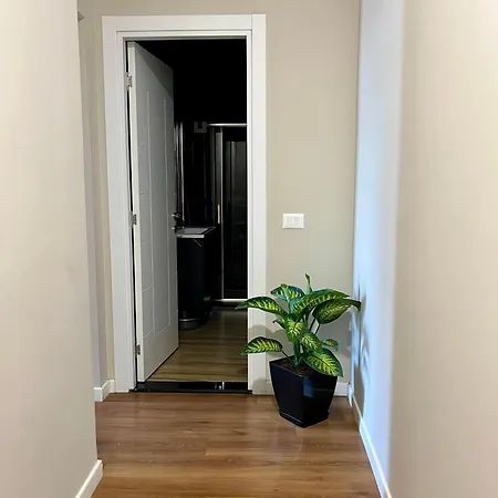 Center Cozy